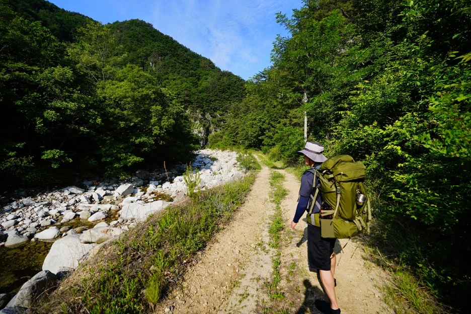 _DSC4535.jpg?type=w1