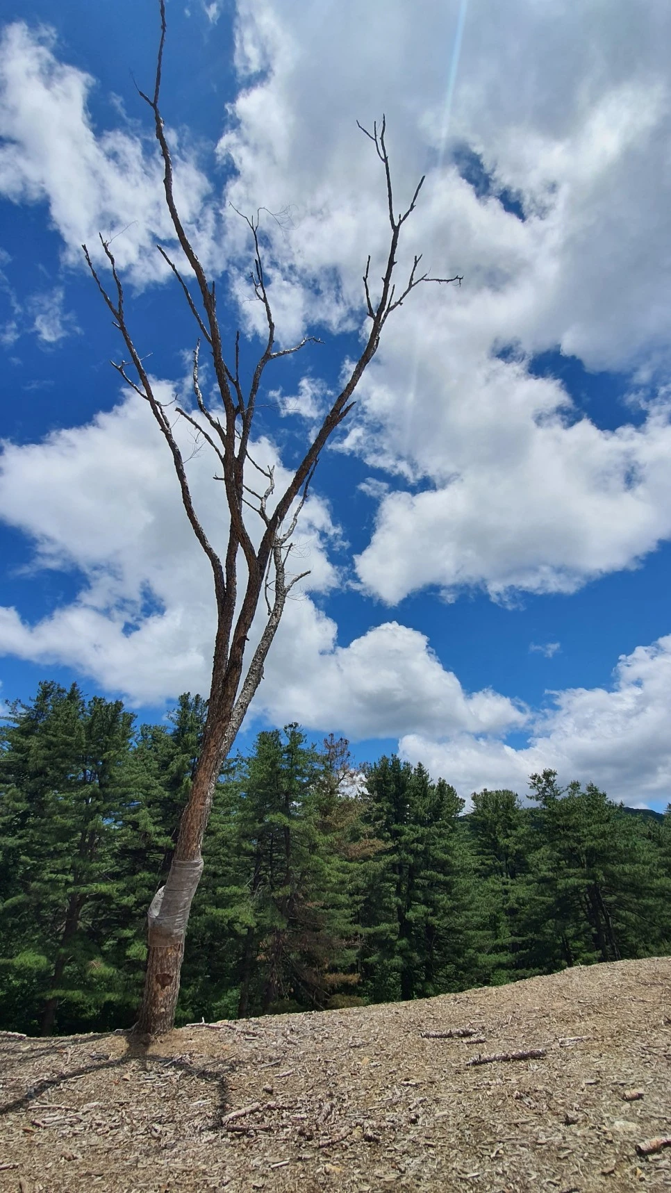 20210616_114508.jpg?type=w966