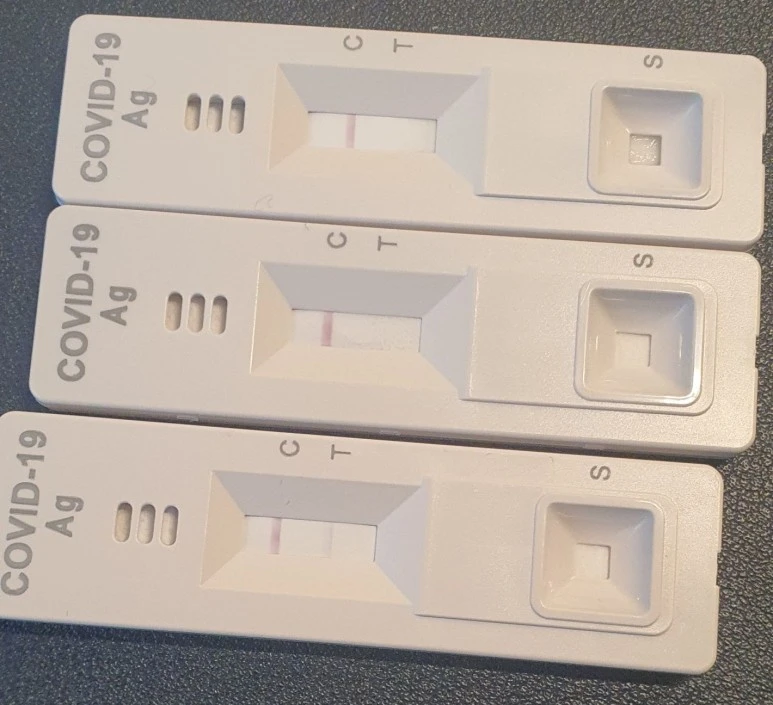 SE-d737df46-446b-43f7-83c2-dd24700241f4.jpg?type=w773