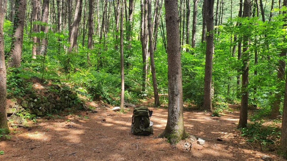 20210616_105932.jpg?type=w1