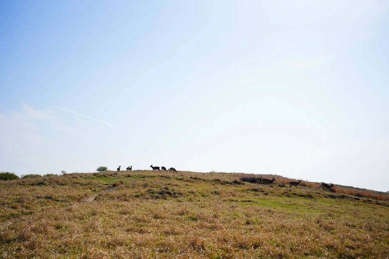 _DSC3662.jpg?type=w773