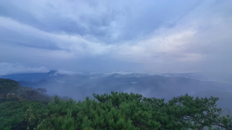 20200912_064004.jpg?type=w773