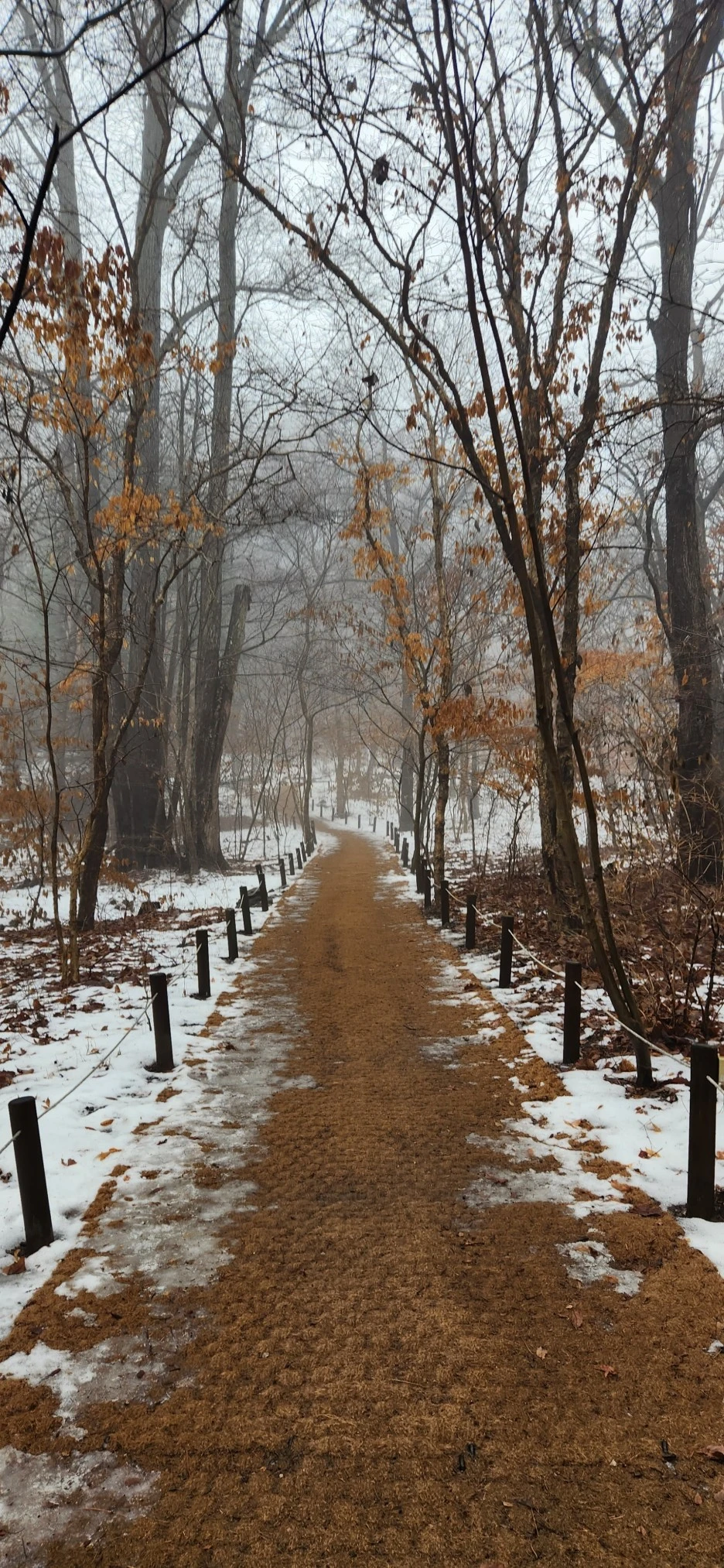 20230113_123455.jpg?type=w1