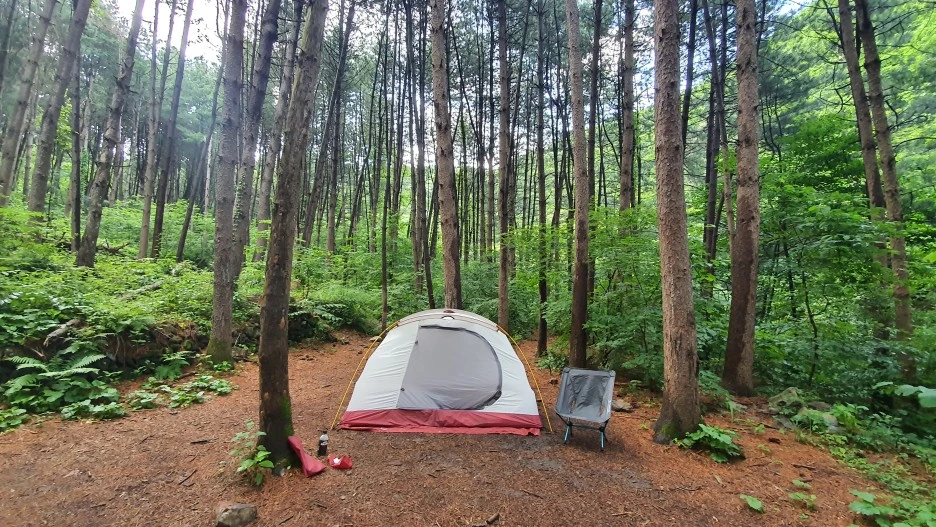 20210615_172142.jpg?type=w1