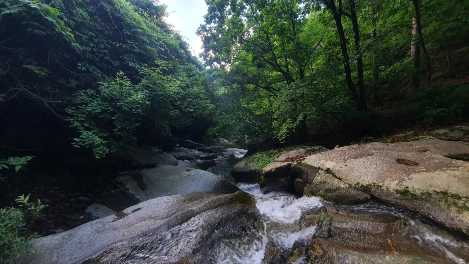 20210616_062916.jpg?type=w1