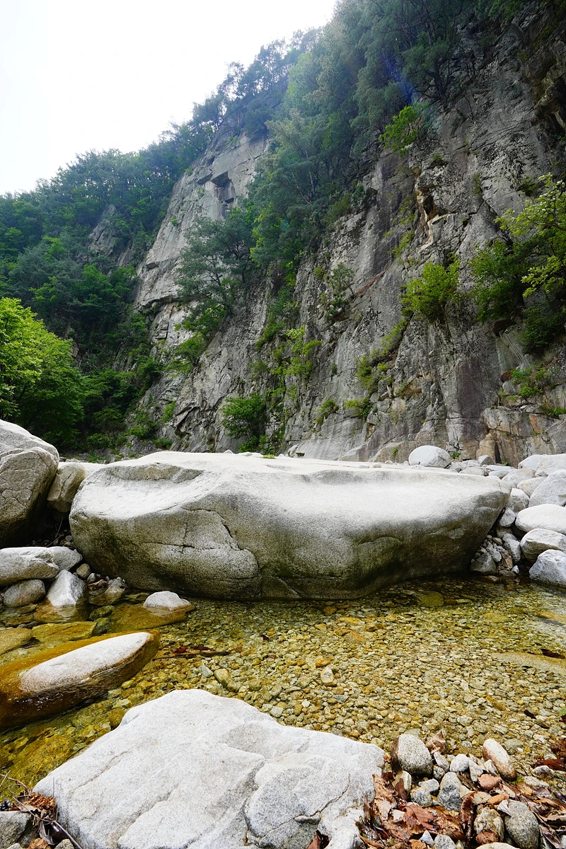 _DSC3940.jpg?type=w1