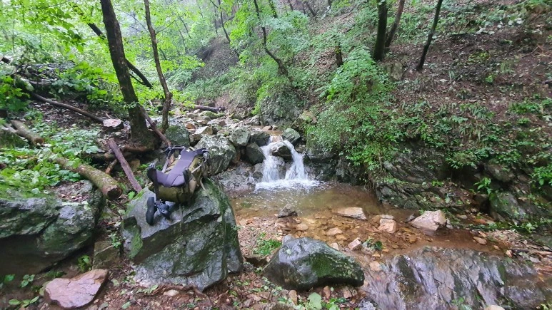 20200912_080543.jpg?type=w773