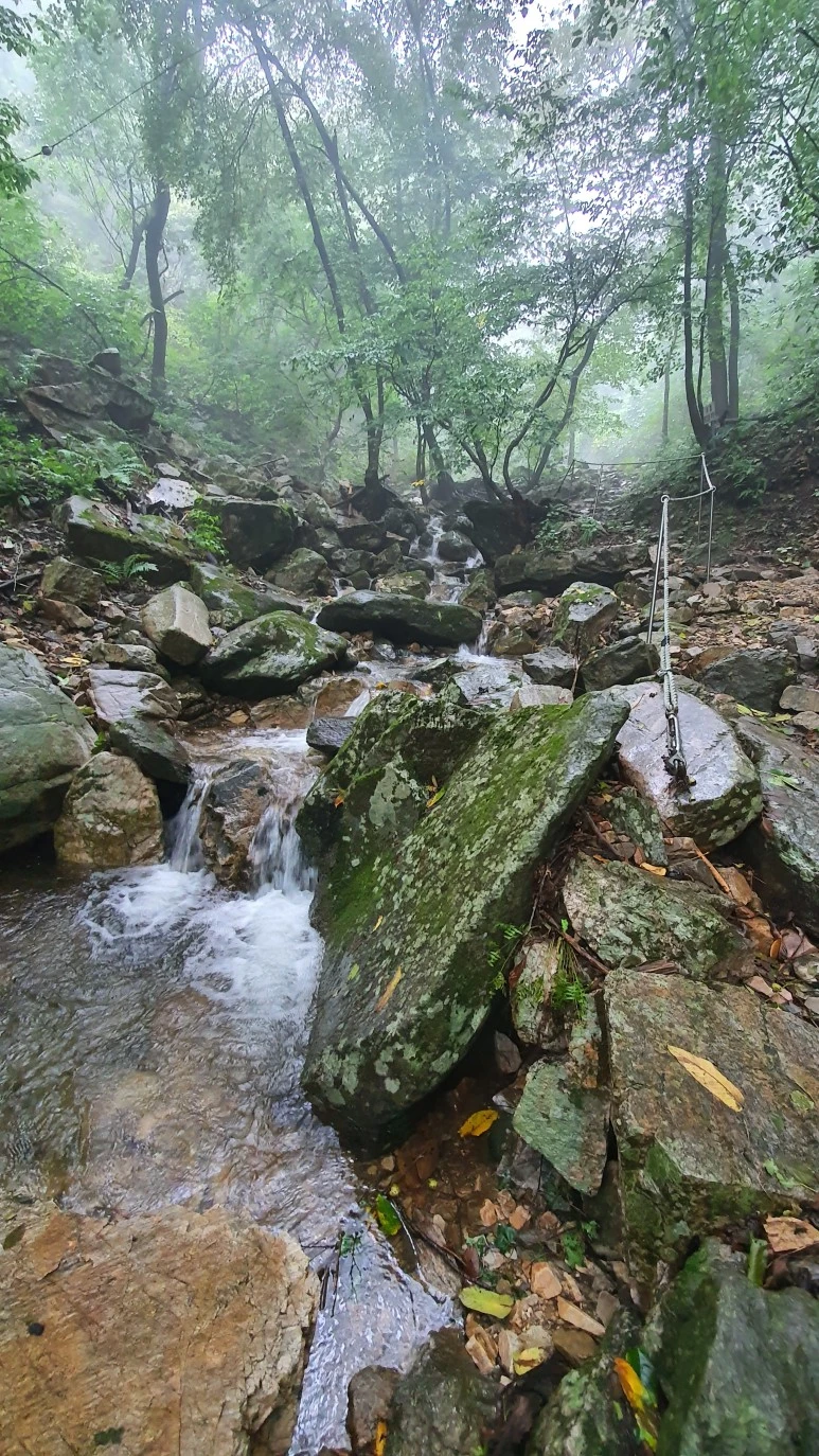 20200912_081046.jpg?type=w773