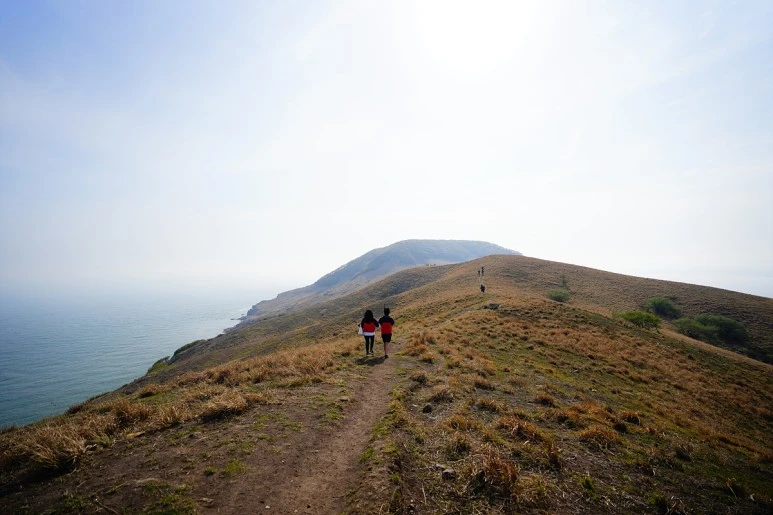 _DSC3153.jpg?type=w773