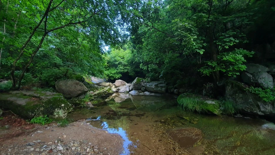 20210616_062815.jpg?type=w1