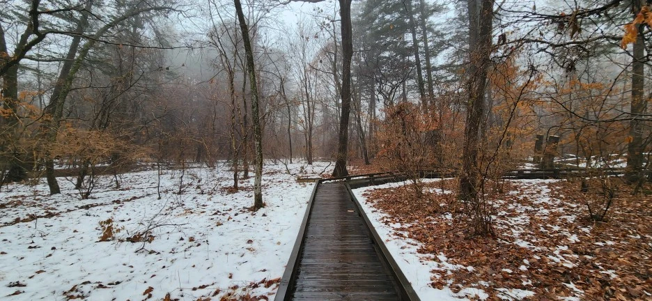 20230113_124021.jpg?type=w1