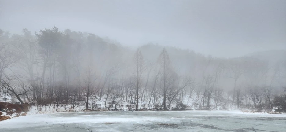 20230113_124932.jpg?type=w1