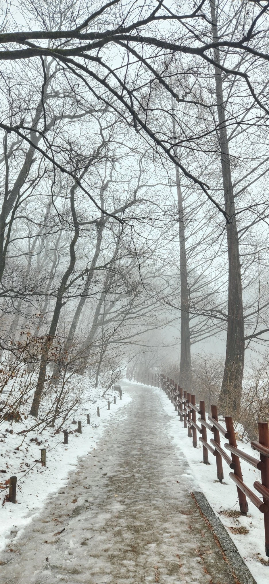 20230113_125321.jpg?type=w1