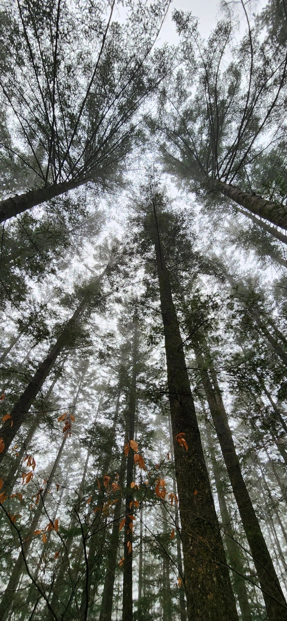 20230113_130848.jpg?type=w1