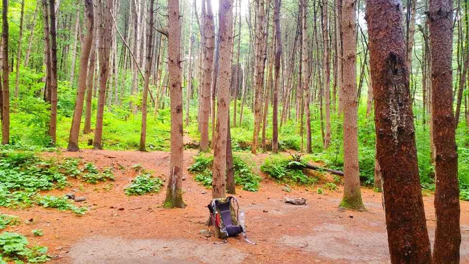 SE-1b31b5a5-021e-42fe-b923-a37f0cc10f1e.jpg?type=w966