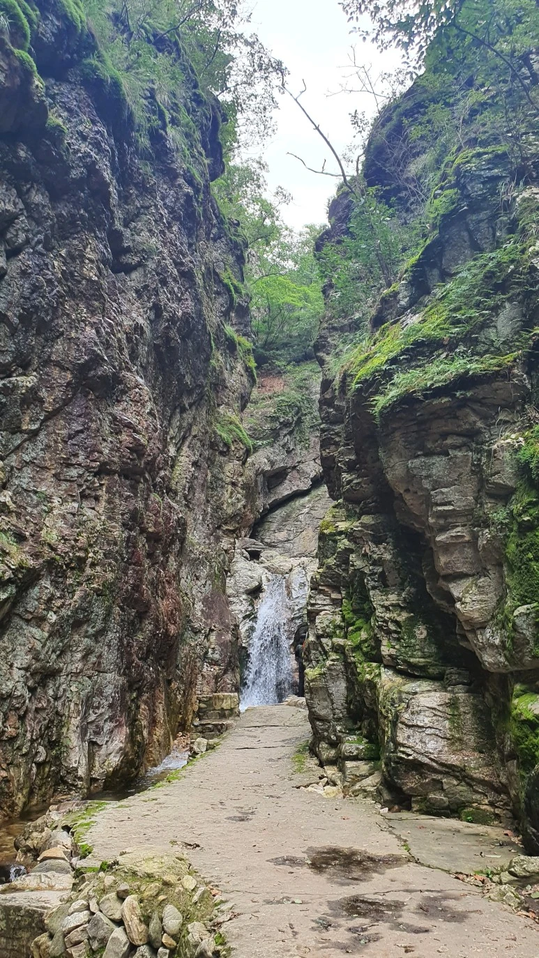 20200911_145903.jpg?type=w773