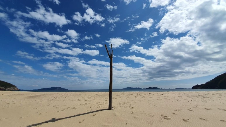 20200925_130653.jpg?type=w773