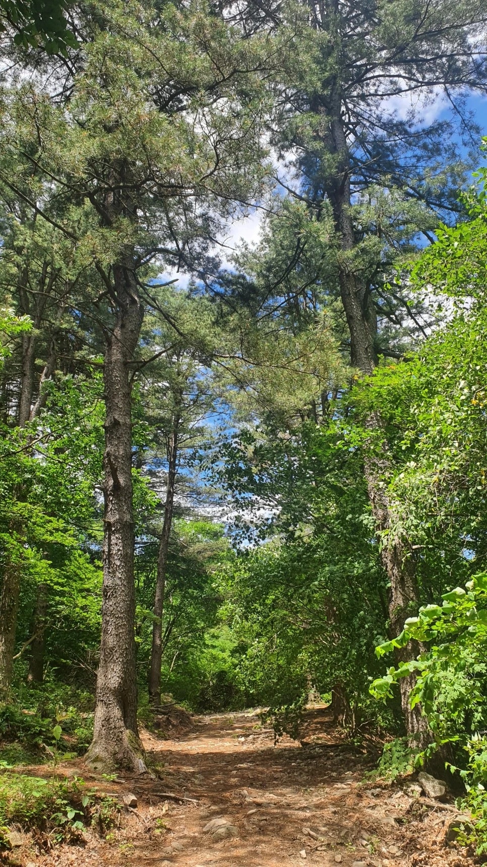 20210616_113200.jpg?type=w966