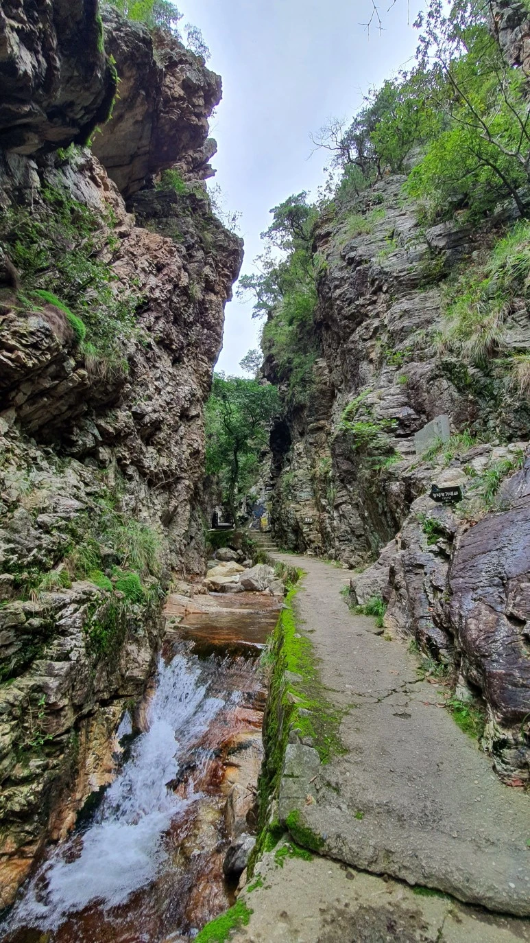 20200911_145757.jpg?type=w773