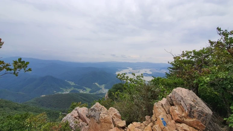 20200911_164624.jpg?type=w773