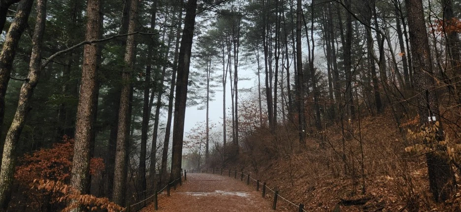 20230113_130214.jpg?type=w1