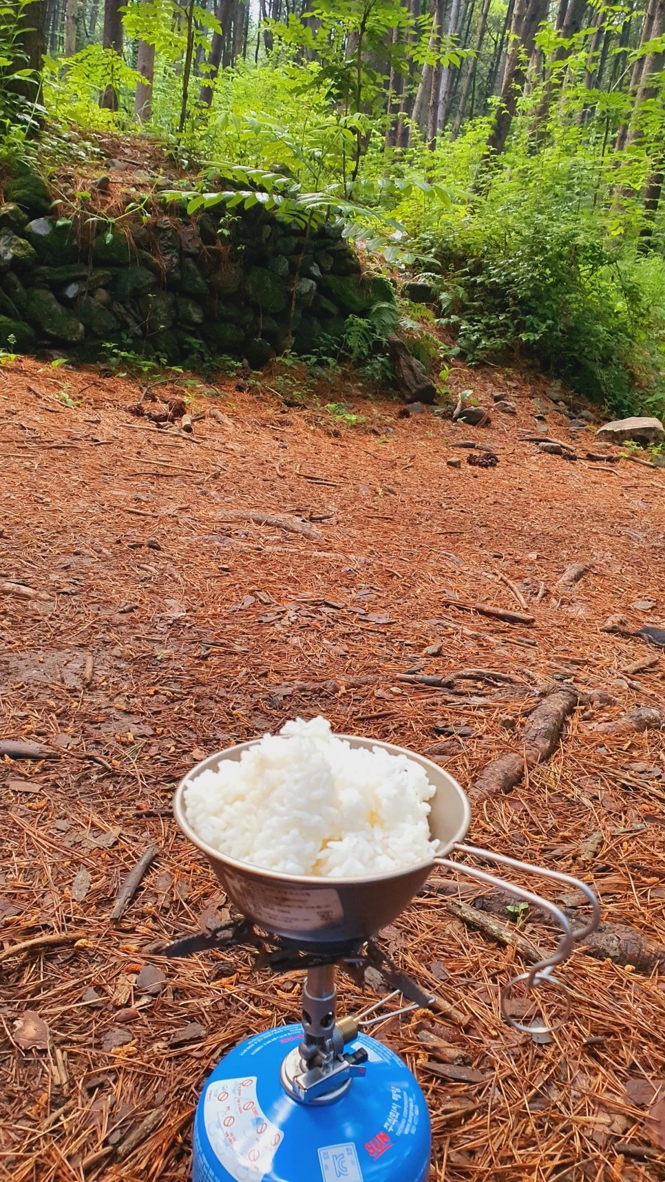 20210615_181917.jpg?type=w966