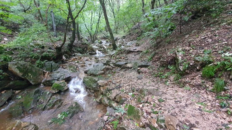 20200912_075833.jpg?type=w773