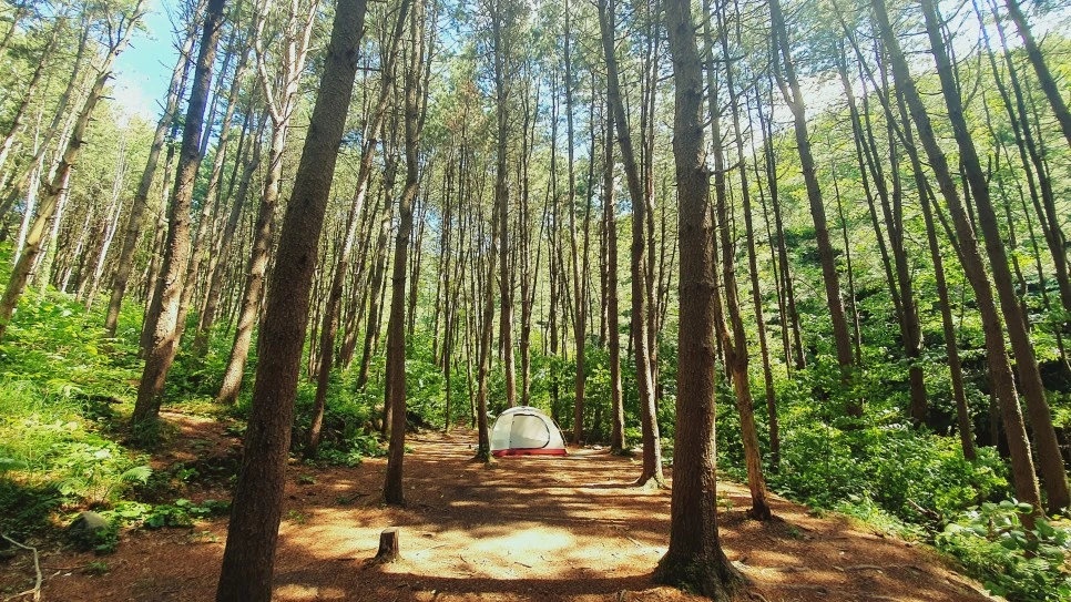 20210616_101744.jpg?type=w966