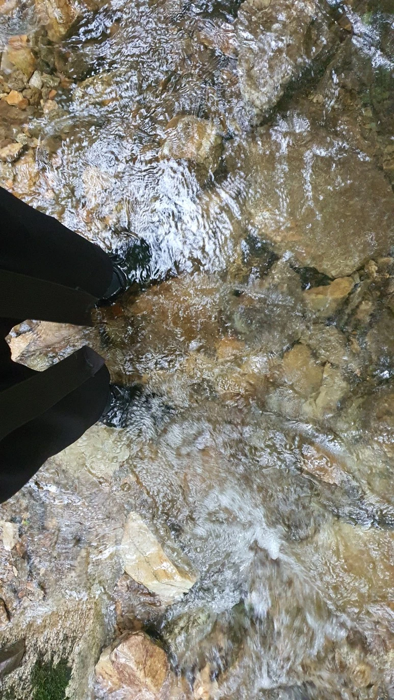 20200912_080159.jpg?type=w773