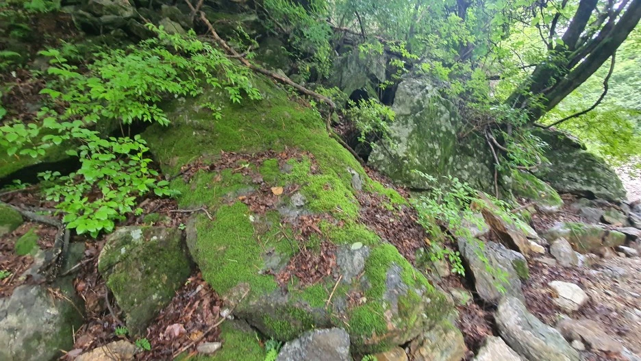 20210615_164044.jpg?type=w1