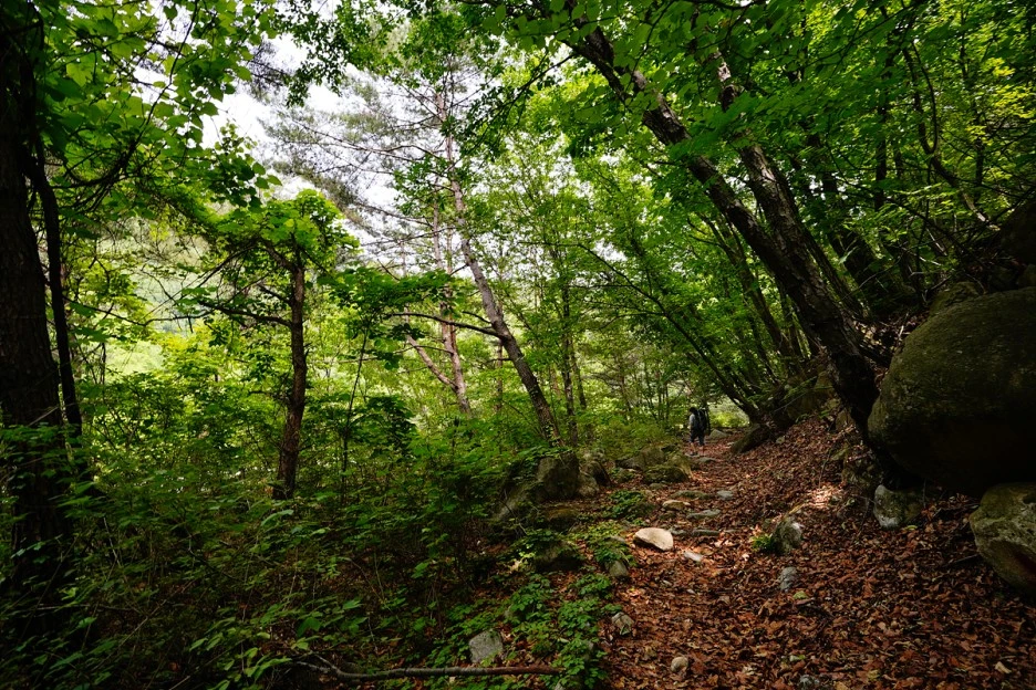 _DSC3916.jpg?type=w1