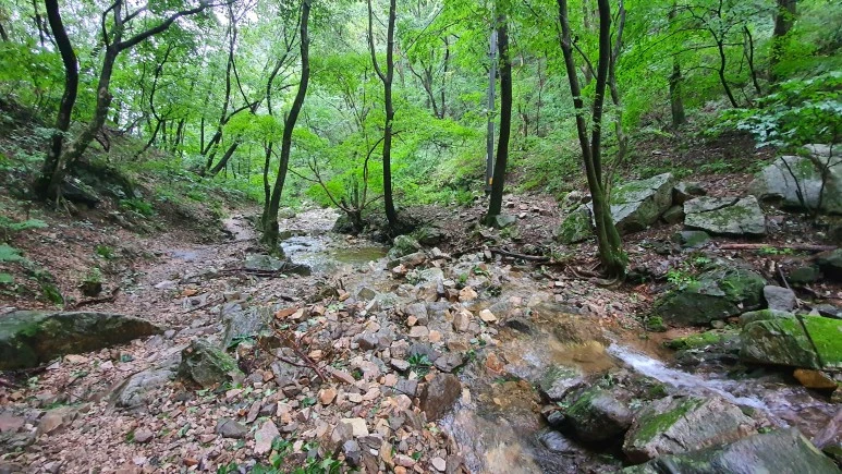 20200912_075719.jpg?type=w773