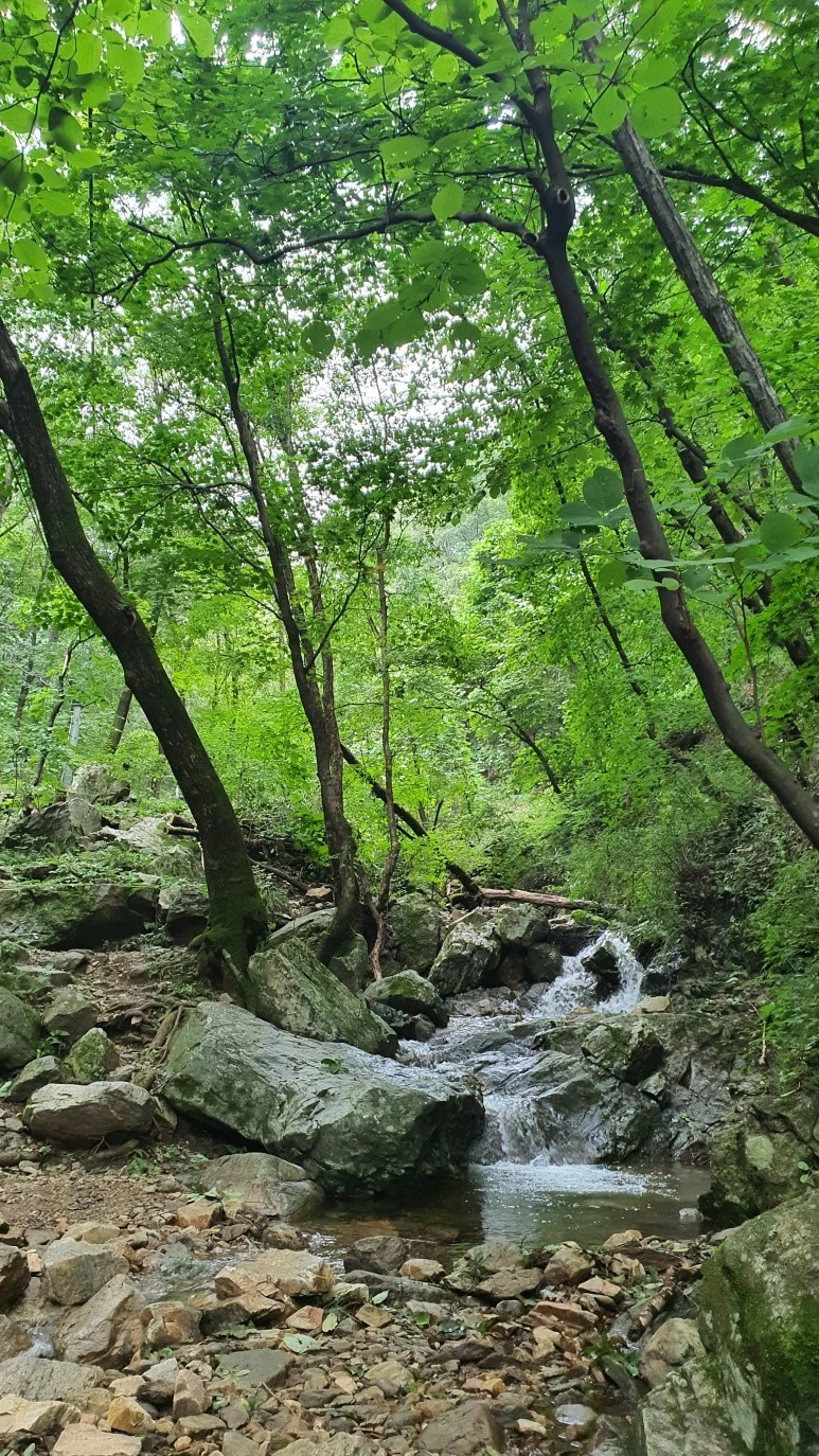 20200911_153257.jpg?type=w773