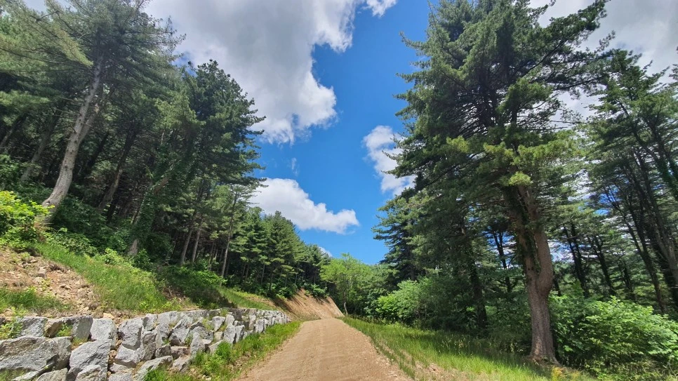 20210616_114309.jpg?type=w966