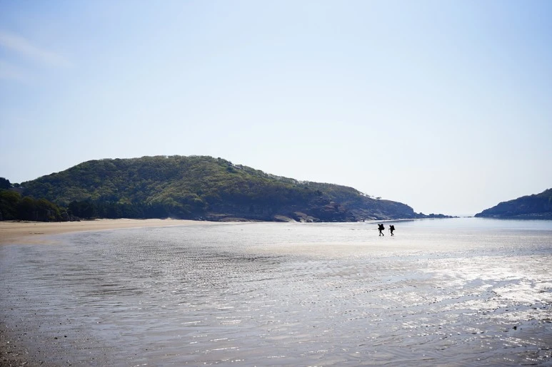 _DSC3854.jpg?type=w773