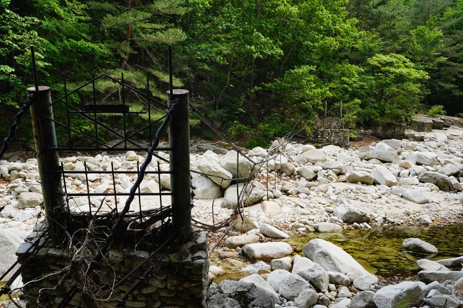 _DSC3925.jpg?type=w1