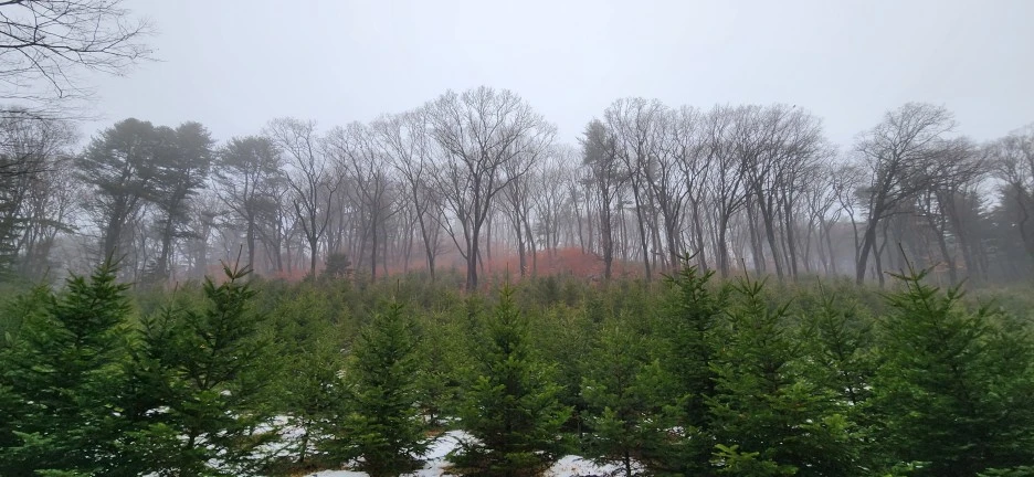 20230113_130524.jpg?type=w1