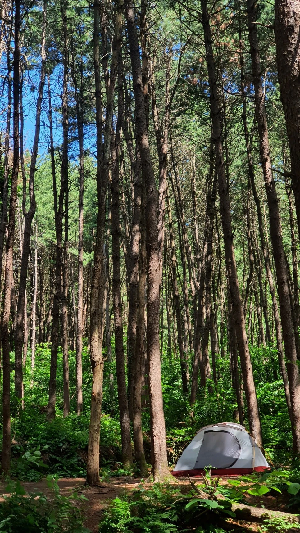 20210616_102032.jpg?type=w966