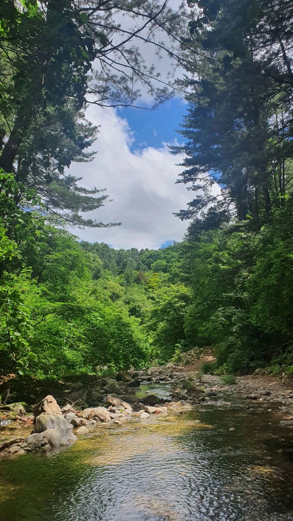 20210616_111348.jpg?type=w966