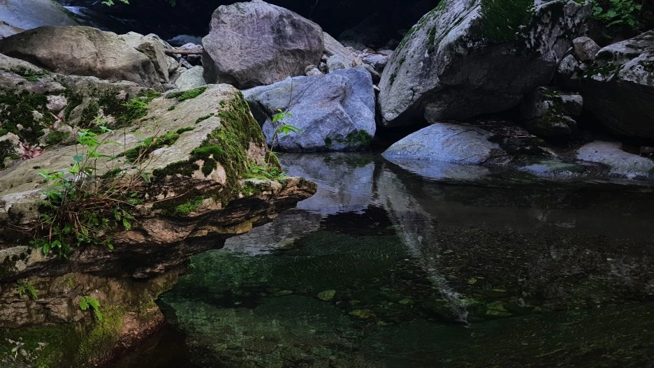 20210616_063248.jpg?type=w1