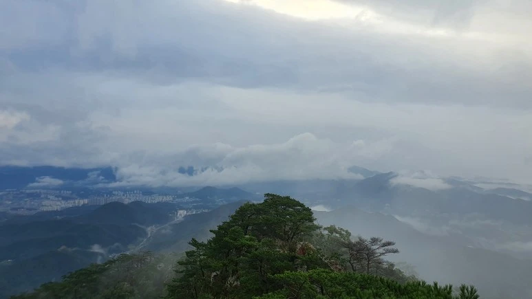 20200912_070010.jpg?type=w773