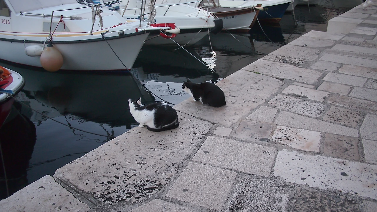 유럽여행 3467.JPG