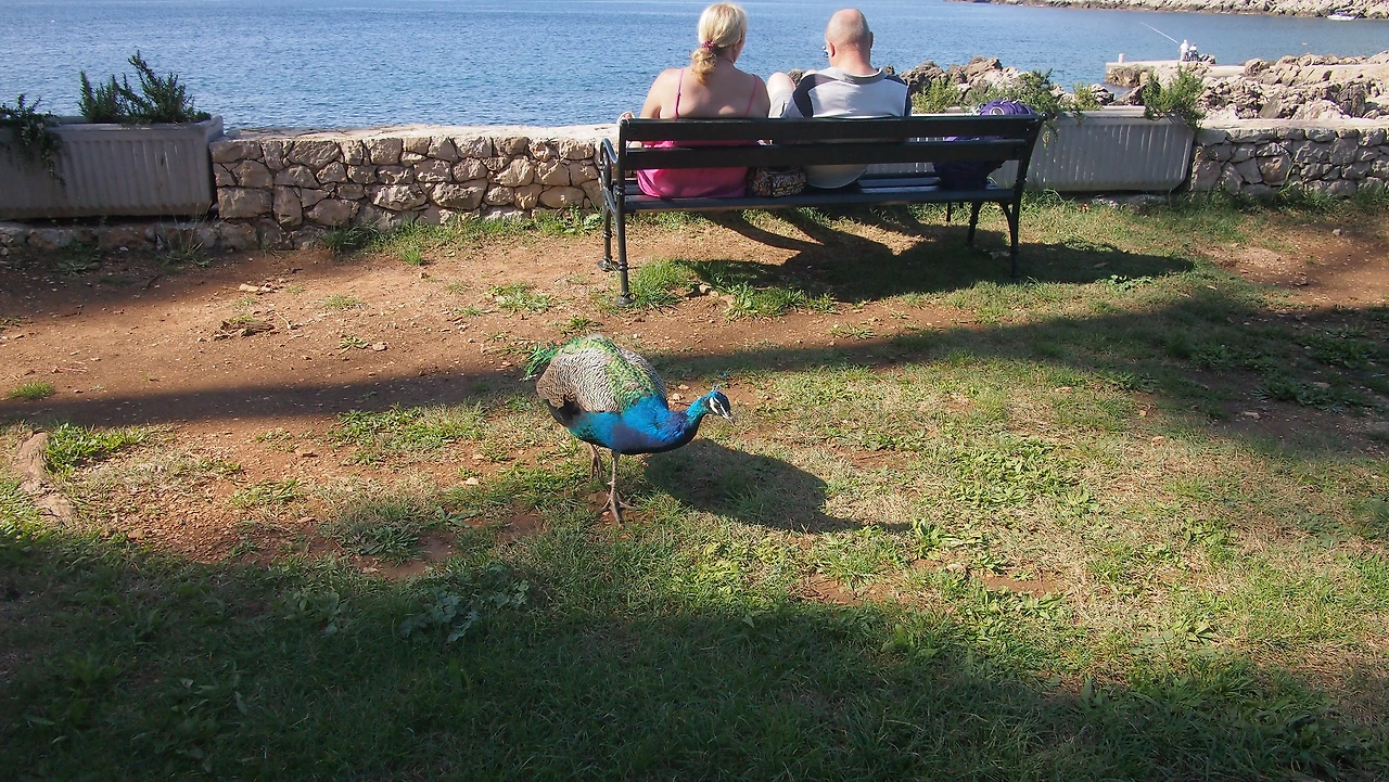 유럽여행 3623.JPG