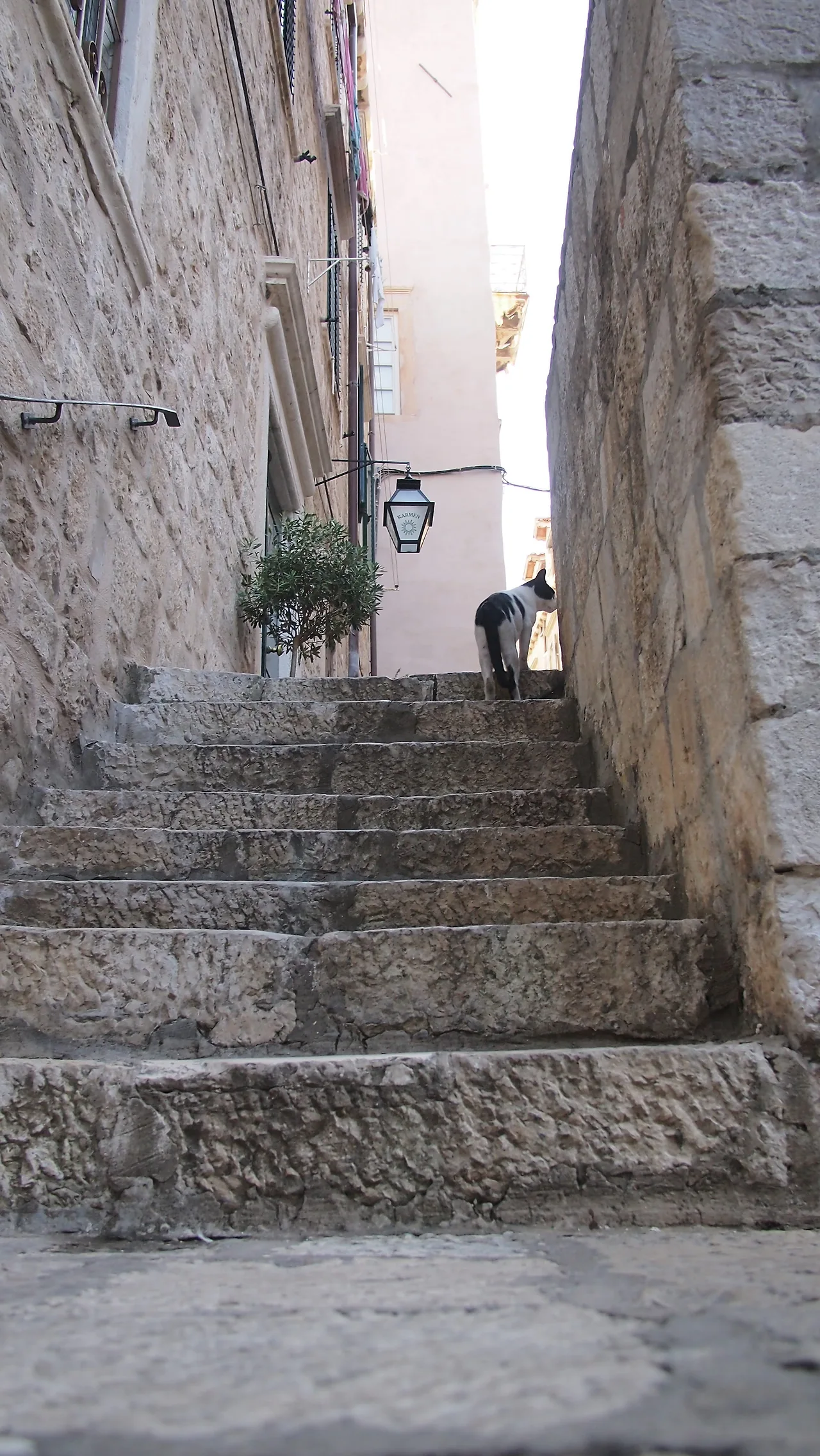 유럽여행 3406.JPG