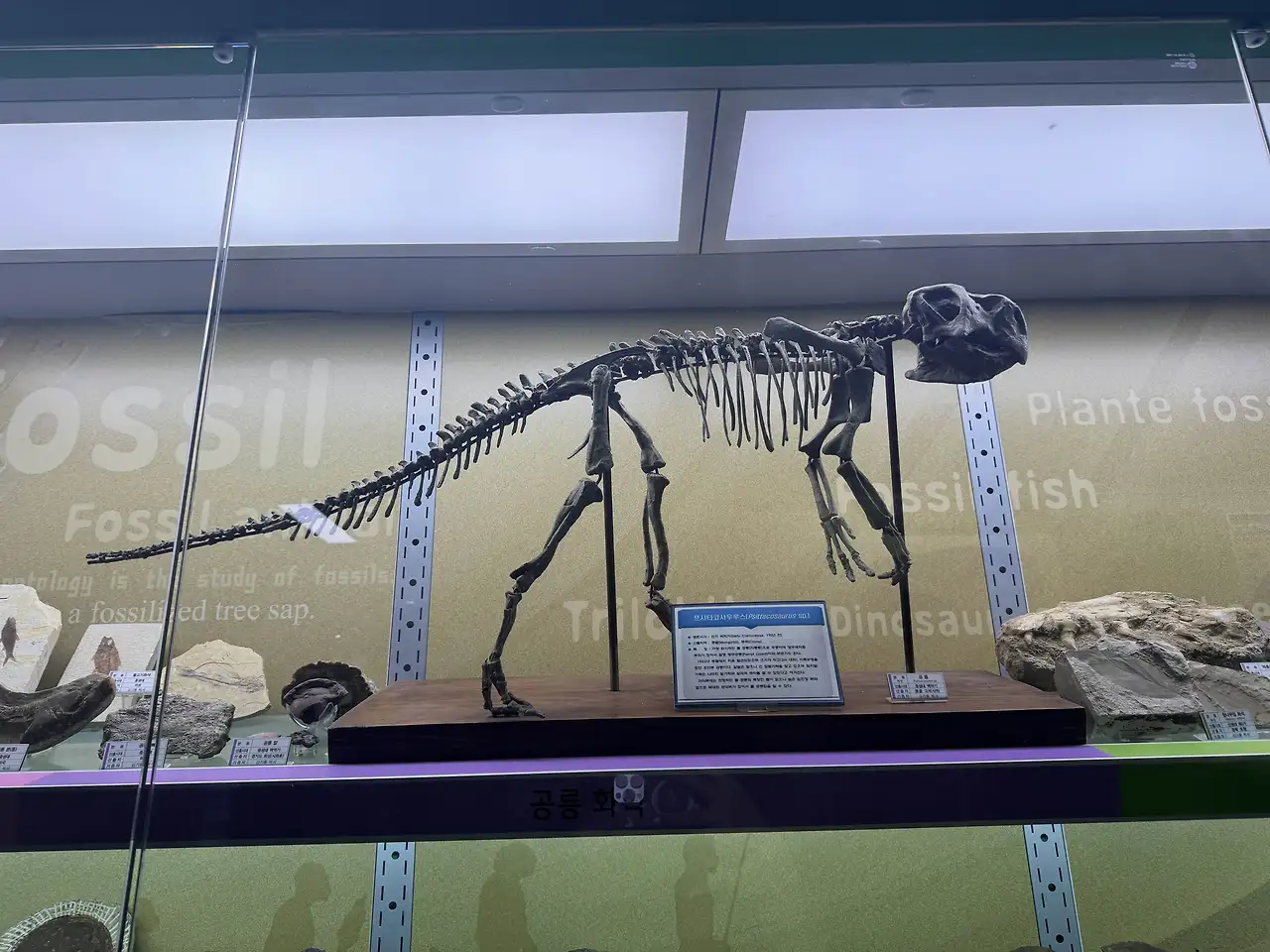 img.jpg?credential=yqXZFxpELC7KVnFOS48ylbz2pIh7yKj8&expires=1759244399&allow_ip=&allow_referer=&signature=5rjIKZSuHVtLoicDmJJO6T7RJmo%3D