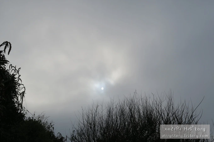 27590B4255B3B99F16CF0A