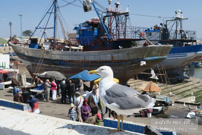 27114E4D572519AA2BDA7E