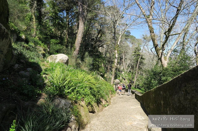 2421D03655B6197312786F