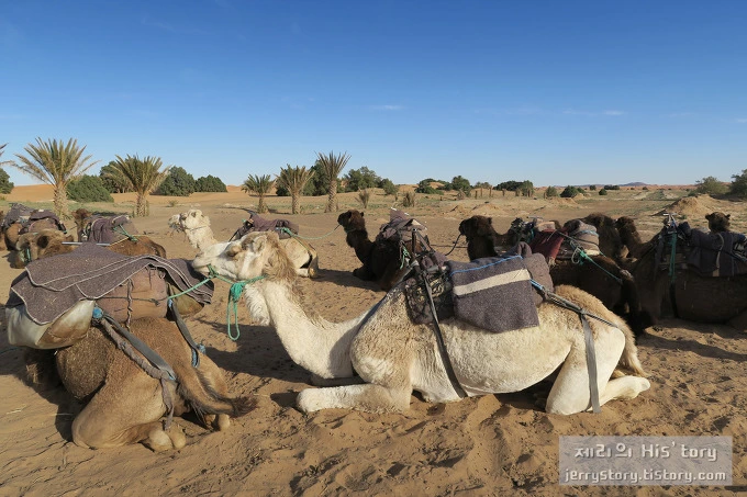 235364455701386E1219D8