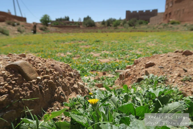 243B914D566D8DD237FB2A